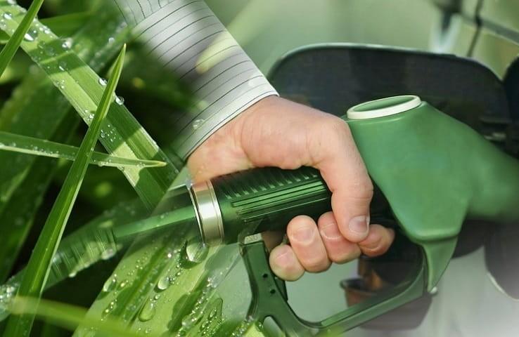 Godavari Biorefineries Secures License Agreement with Catalyxx for Biobutanol Production